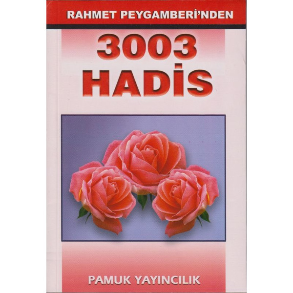 3003 Hadis